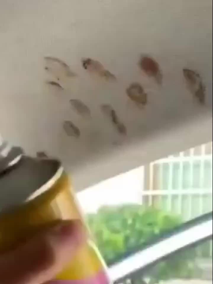 Easy To Use Large Capacity Multi-Purpose Car Foam Cleaner